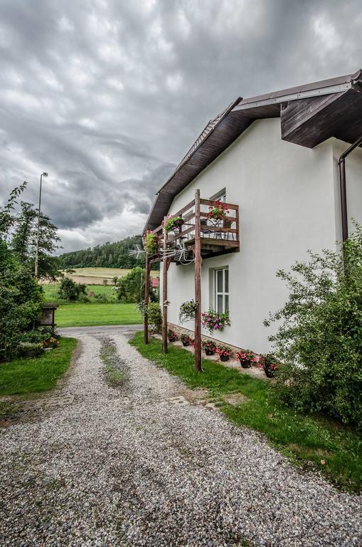 Romanowka Oldrzychowice Klodzkie Buitenkant foto