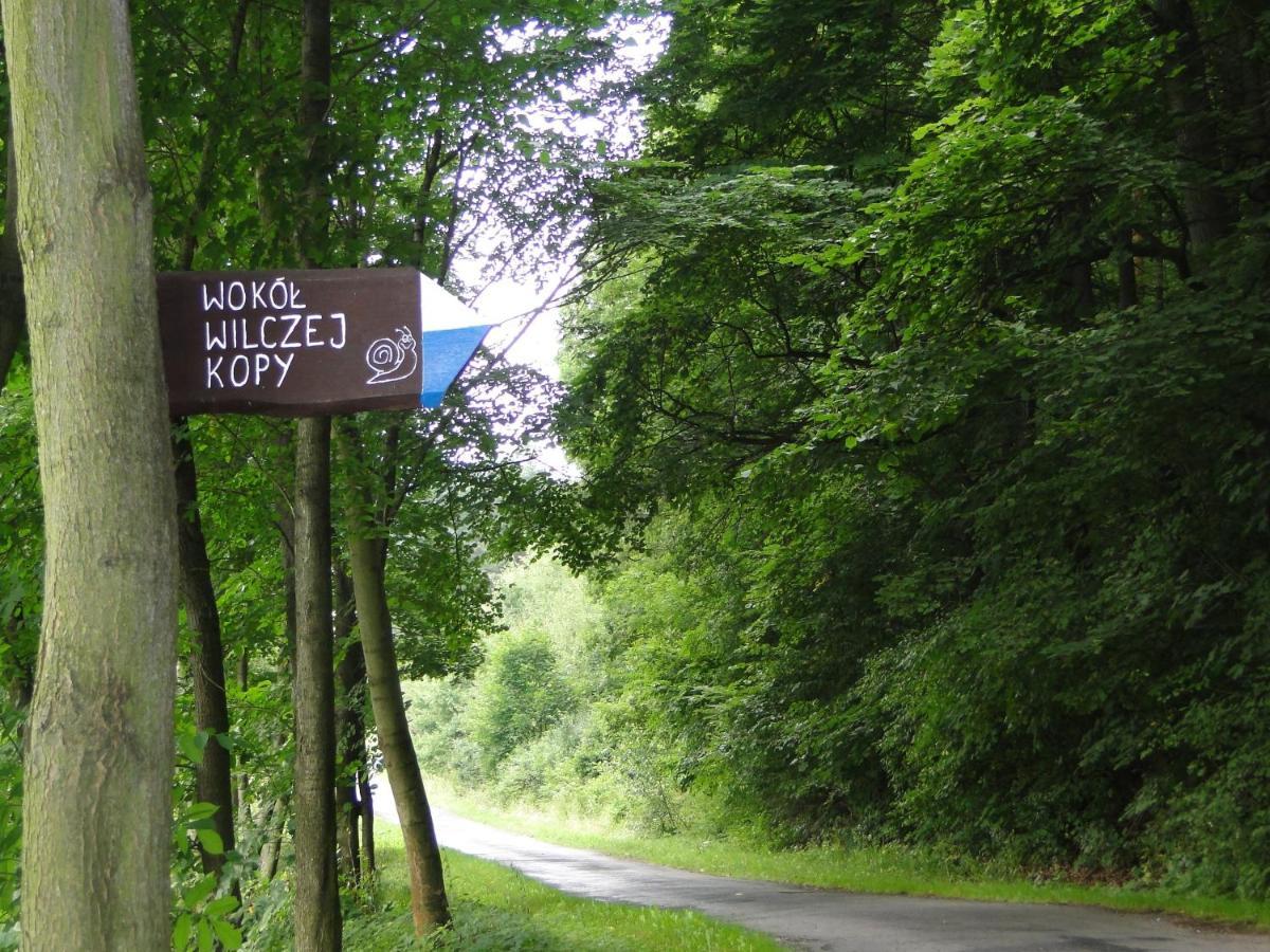 Romanowka Oldrzychowice Klodzkie Buitenkant foto